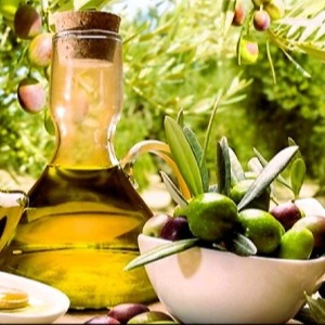 L'Ulivo e l'Olio extra vergine siciliano 
