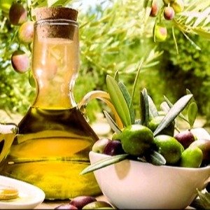 L'Ulivo e l'Olio extra vergine siciliano 